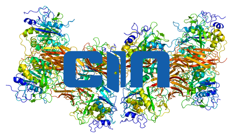 Understanding how the “Spike Protein” Works.