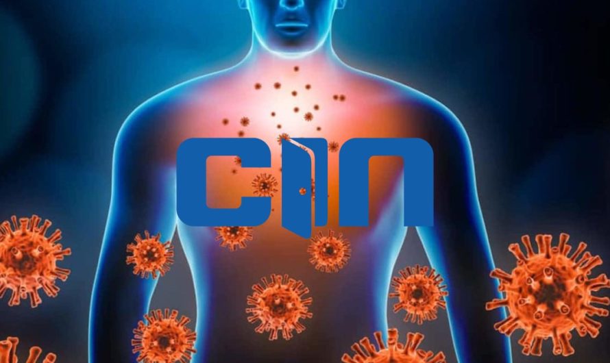 Clathrin Graphene Quantum Dots enters the Immune System using HEK293 cell lines containing sv40